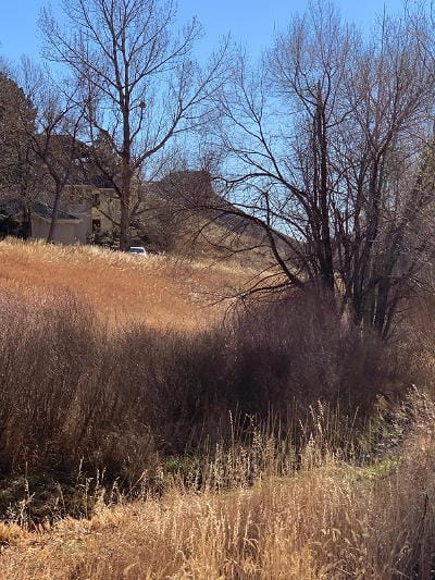 a photo by Nancy Torpey showing Tucker Gulch in the fall