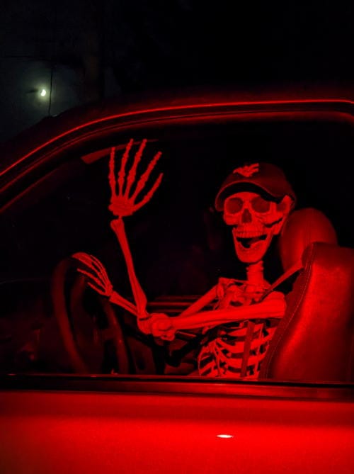 This image has an empty alt attribute; its file name is SkeletonDriver-DonCameron-sm.jpg