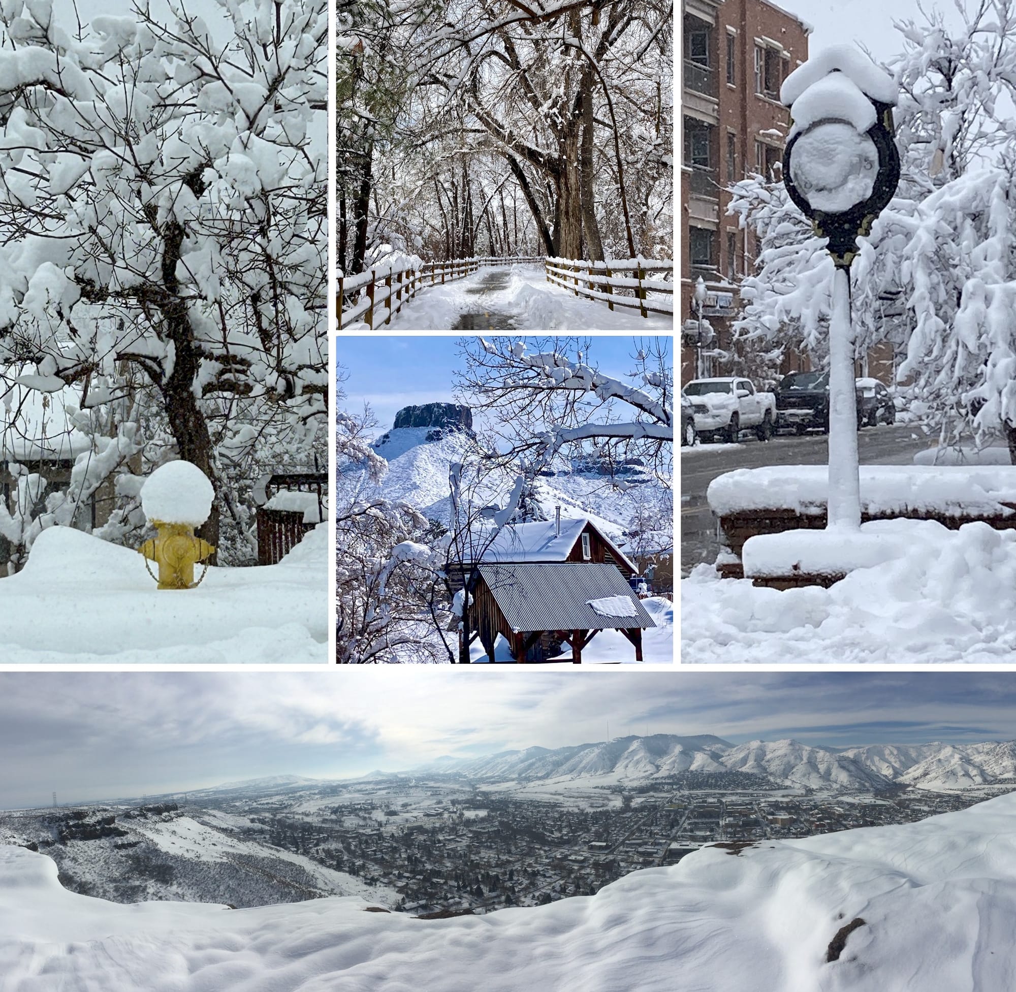 heavy snow on a tree, on a trail, covering a street clock, panorama of Golden covered with snow