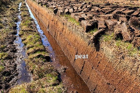 Photo shows a deep cross section of soil, including a thick section of brownish peat