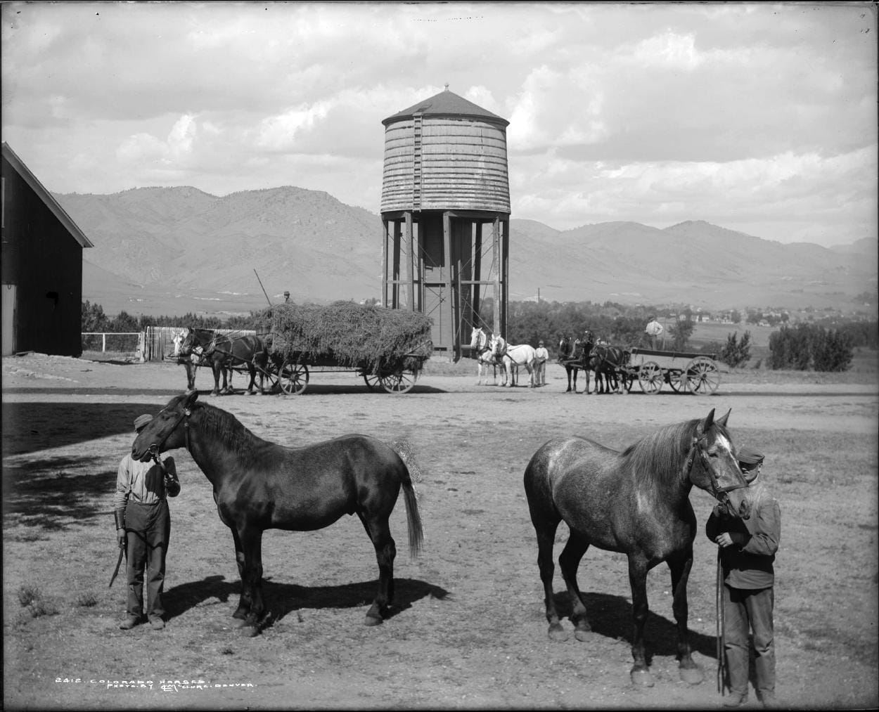 Two boys holding leads of work horses, wagons, draft horses, water tower and mountains in background