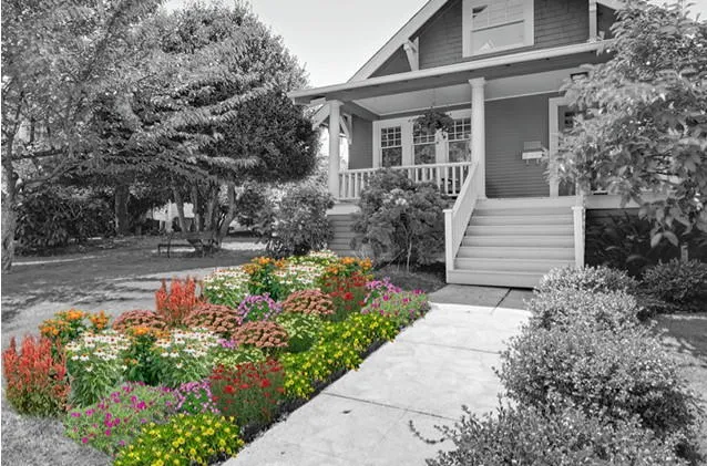 Craftsman-style house..  Image is black and white except the flower garden in the front yard.