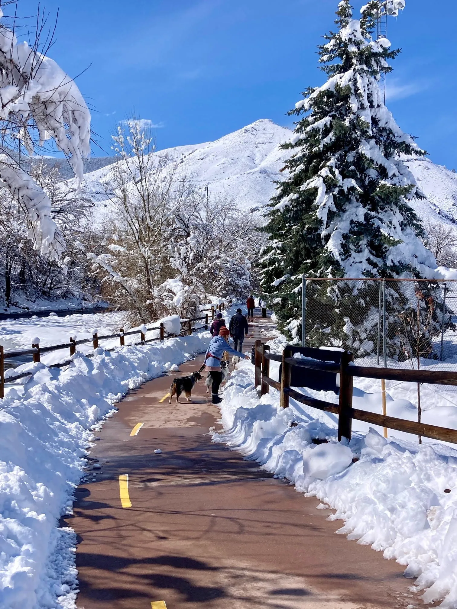 Three people and a dog on the Clear Creek trail, snow piled on either side, Mt. Zion in the distance.