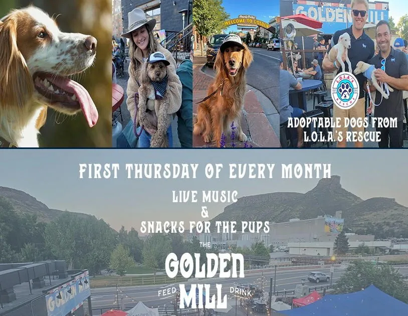 Pictures of happy-looking dogs, two men holding puppies, and the view of Castle Rock from the deck of the Golden Mill.