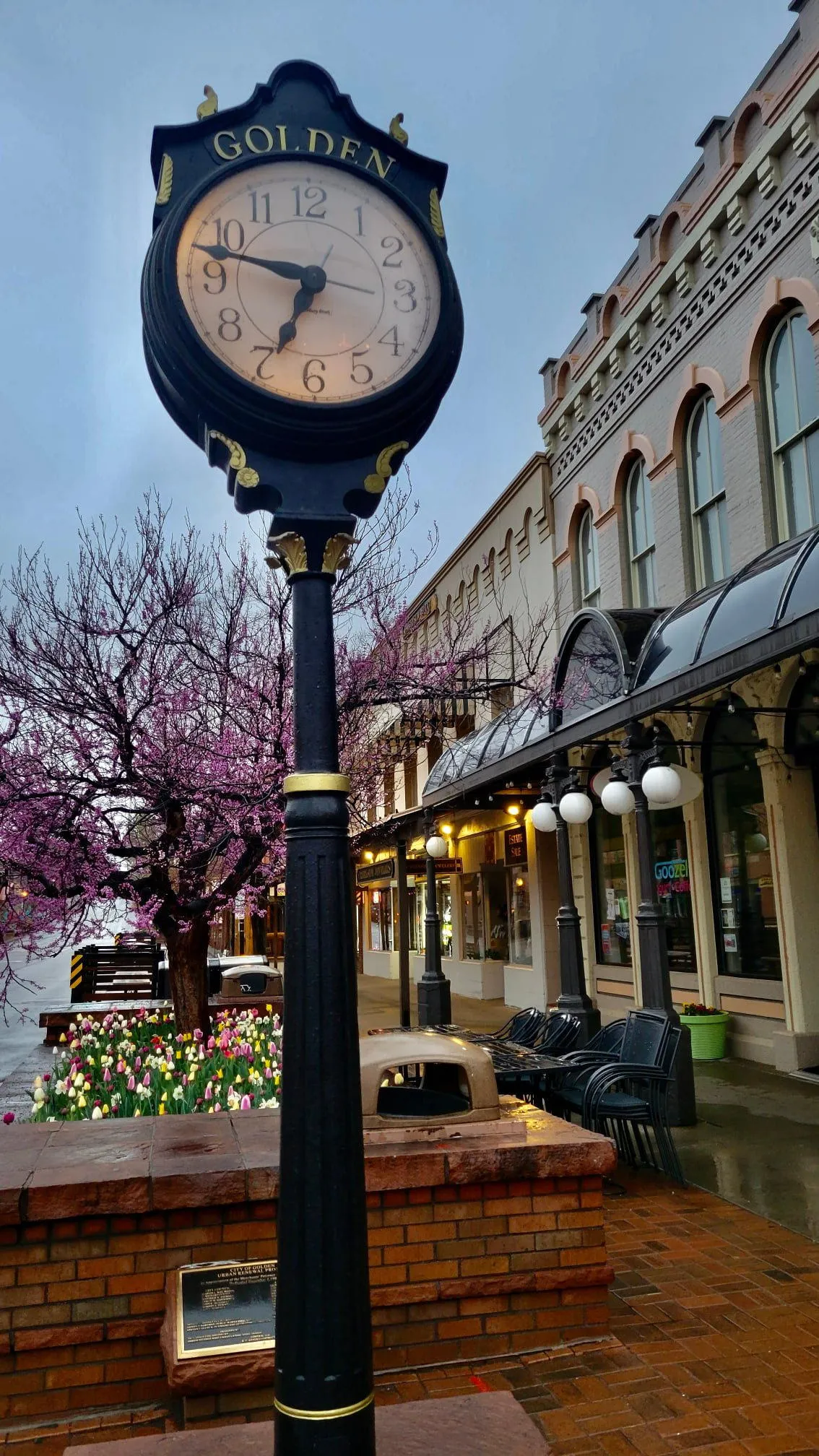 Tall, ornate clock at the corner of 12th and Washington.  Planter box with tulips and pink flowering tree in background.