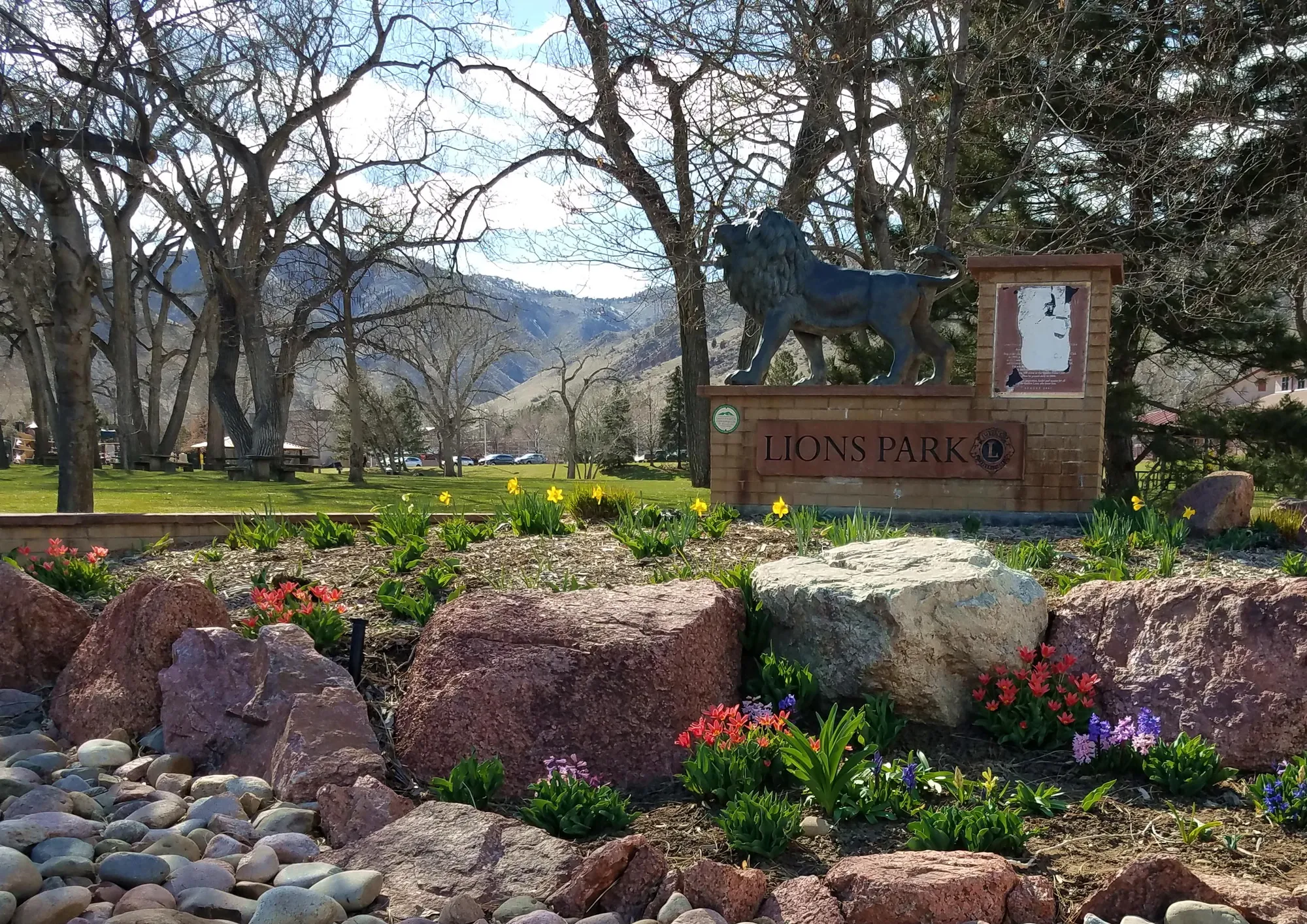 Rock garden with spring flowers. bronze lion on "Lions Park" sign, mountains and bare trees in background.