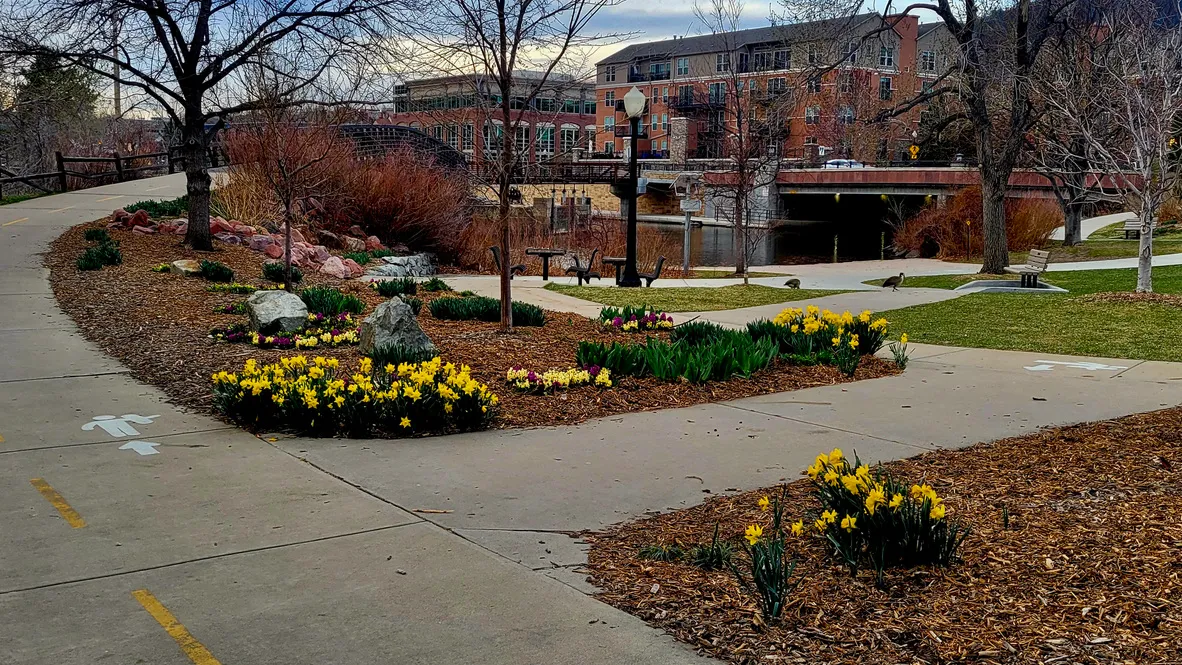 Spring Comes to Vanover Park