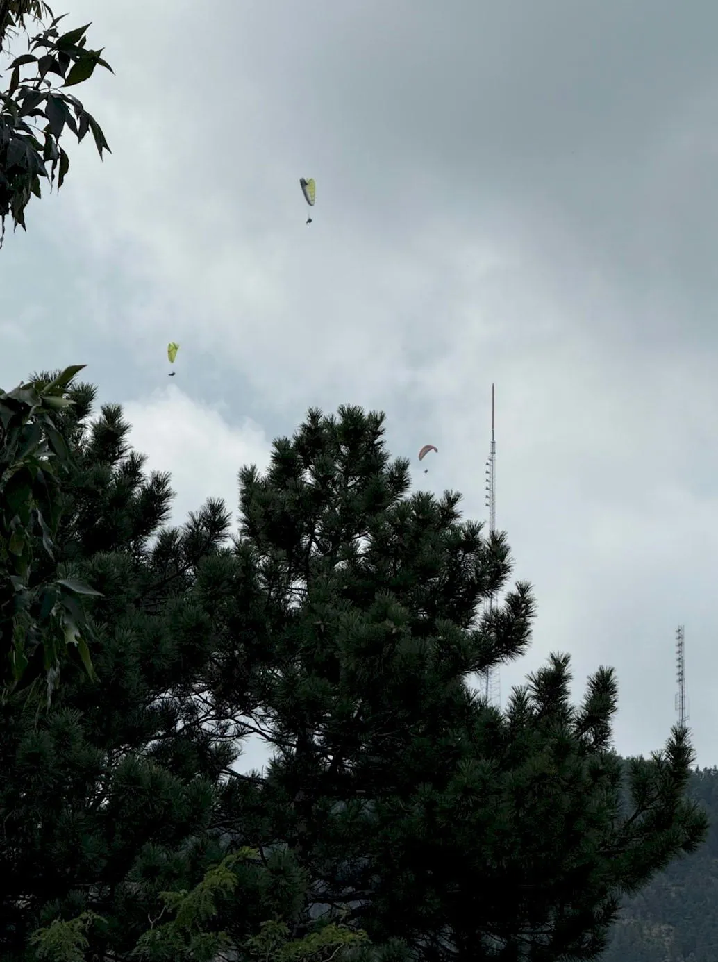 A Golden Vista: 2 Antennas and 3 Paragliders