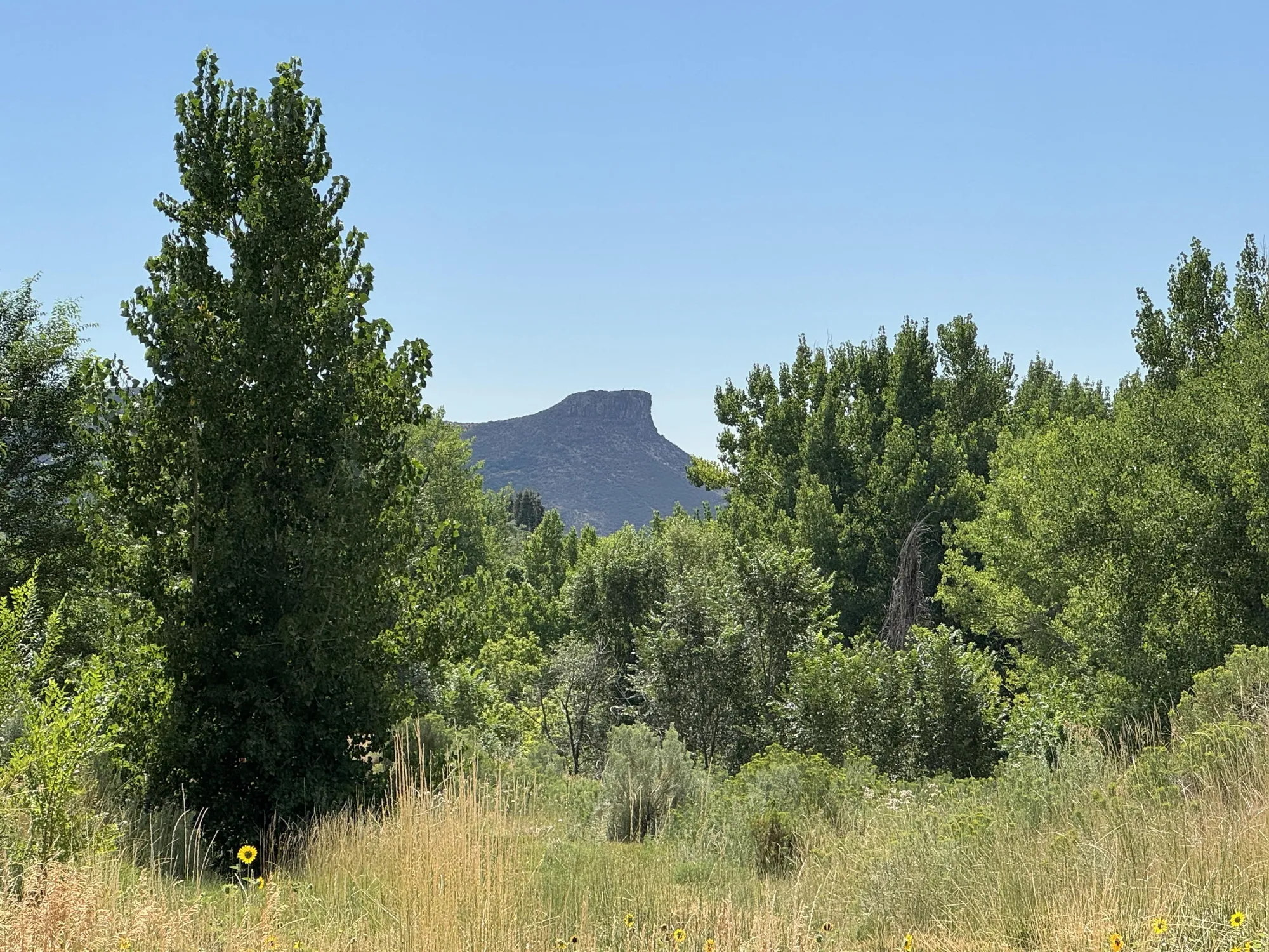 Summer View of Castle Rock
