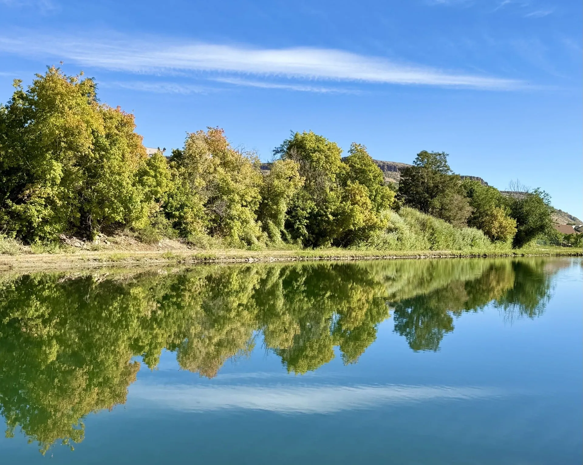 Early Fall Color at the Settling Pond