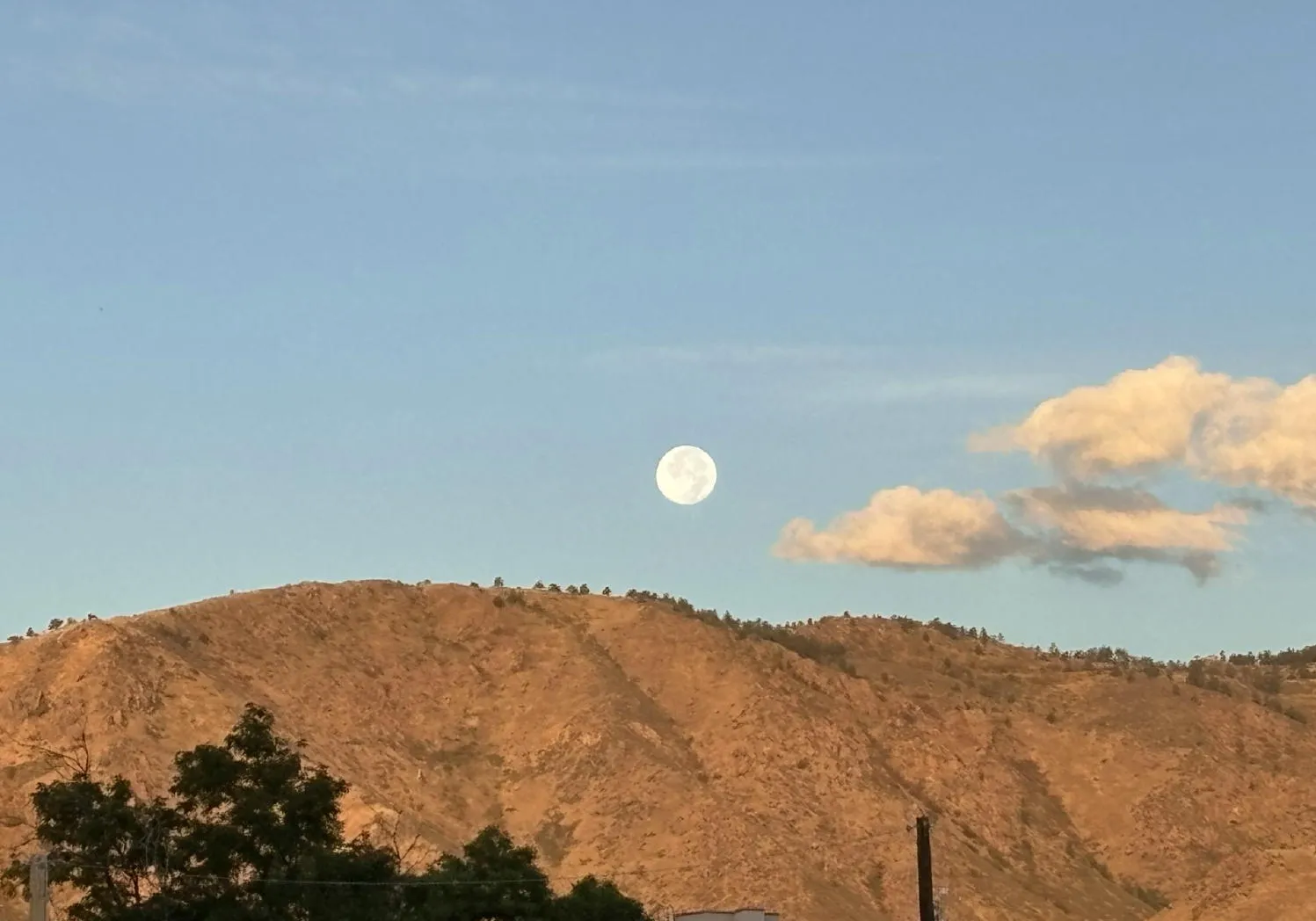 Yesterday's Full Moon