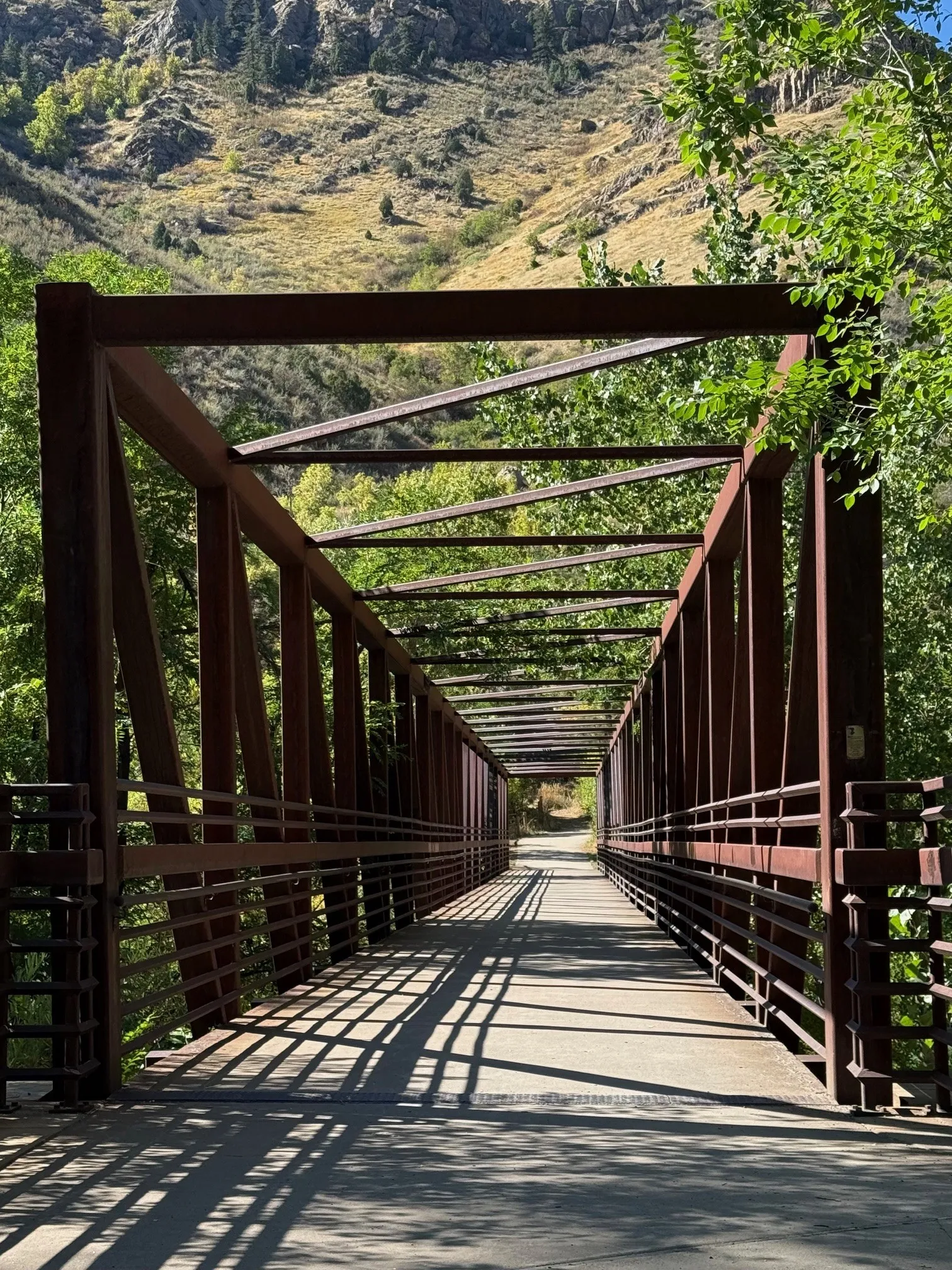 A Perfect Day for a Walk