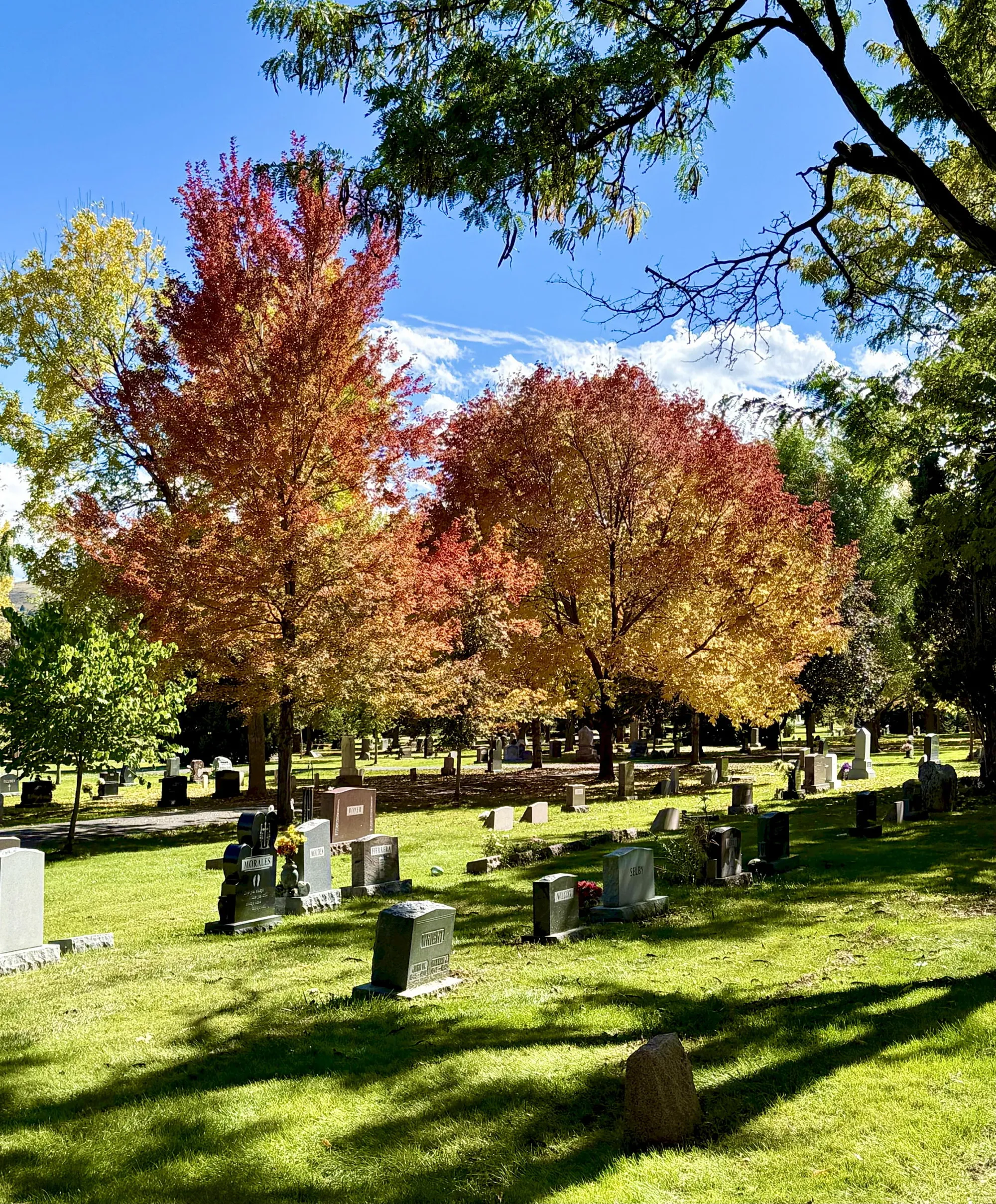Golden Cemetery in the Fall