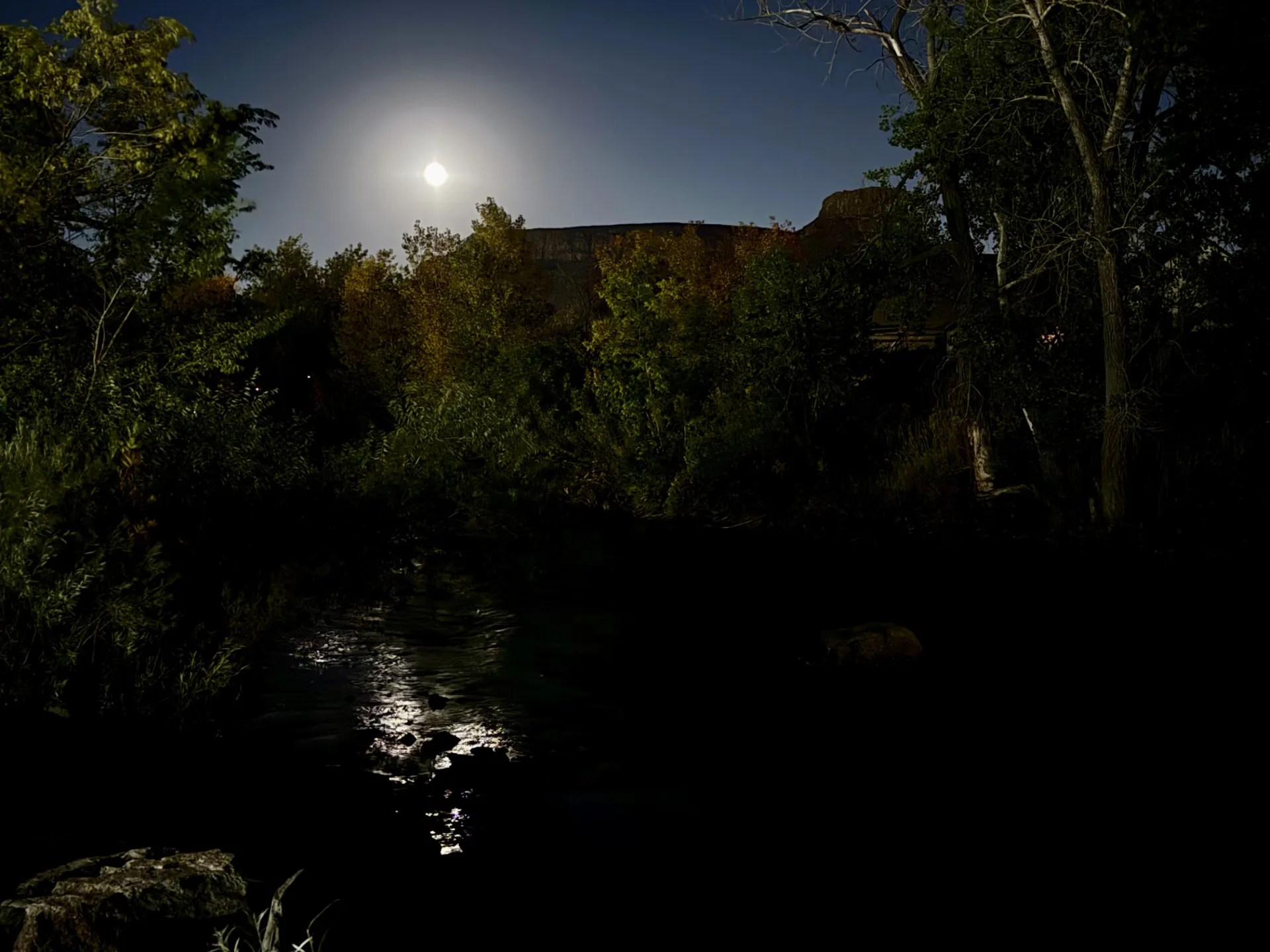 A Marvelous Night for a Moondance