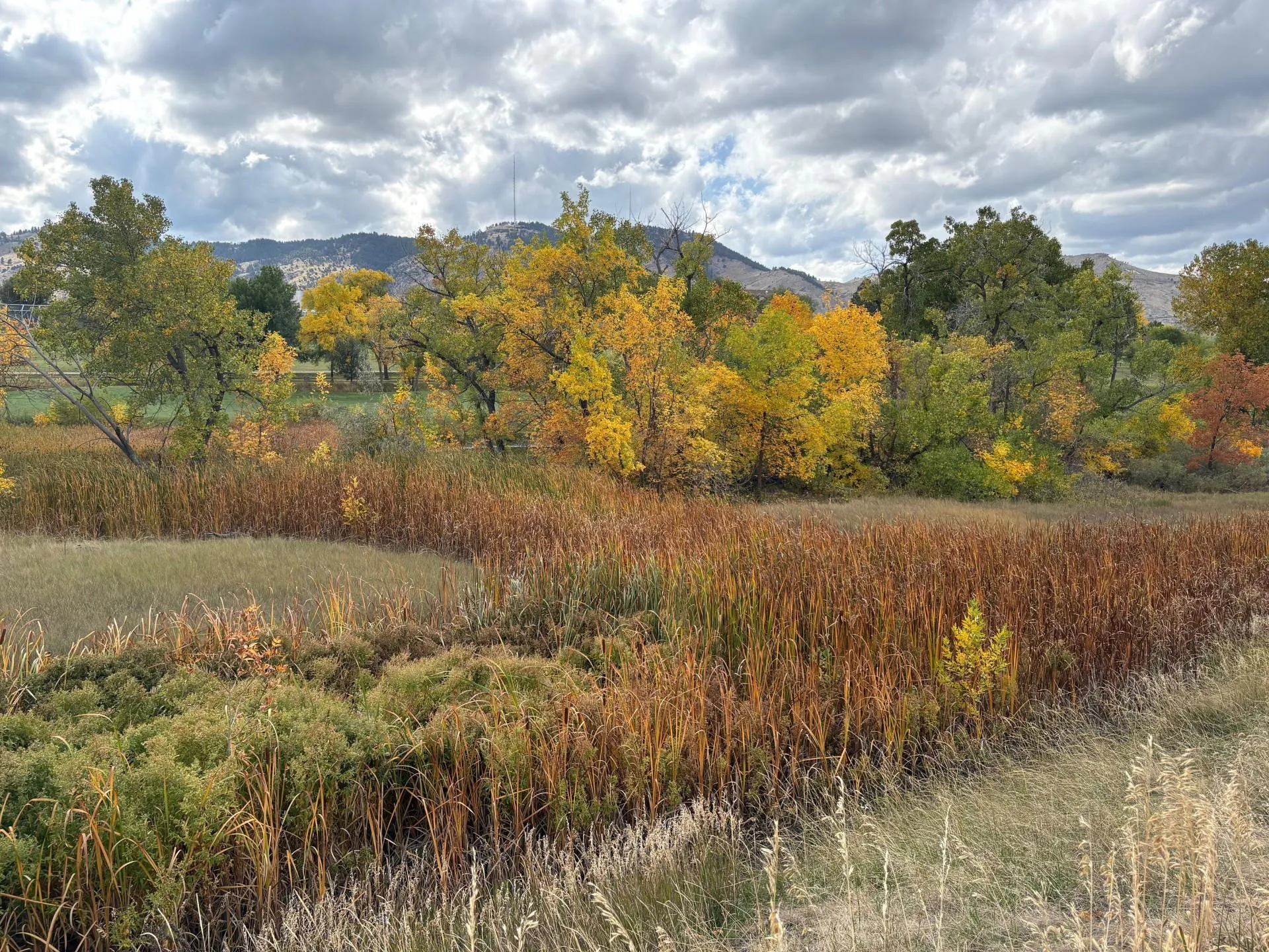 Fall Foliage on South Golden Road