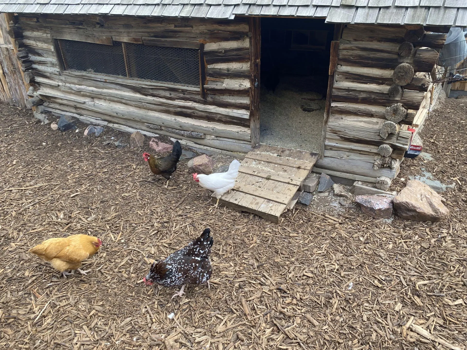 Denizens of the History Park