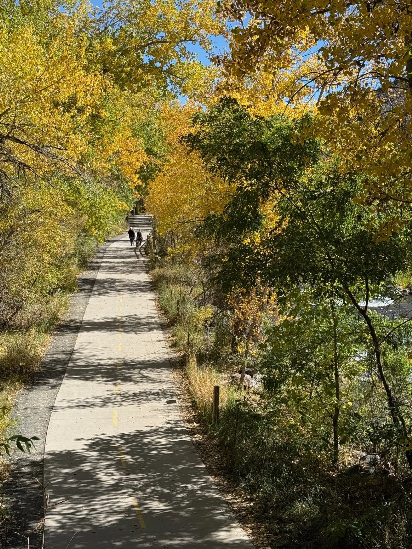 A Great Day to Be in Colorado