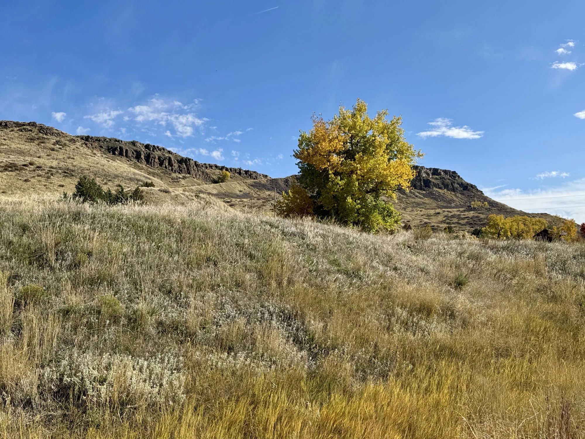 Fall on North Table Mountain