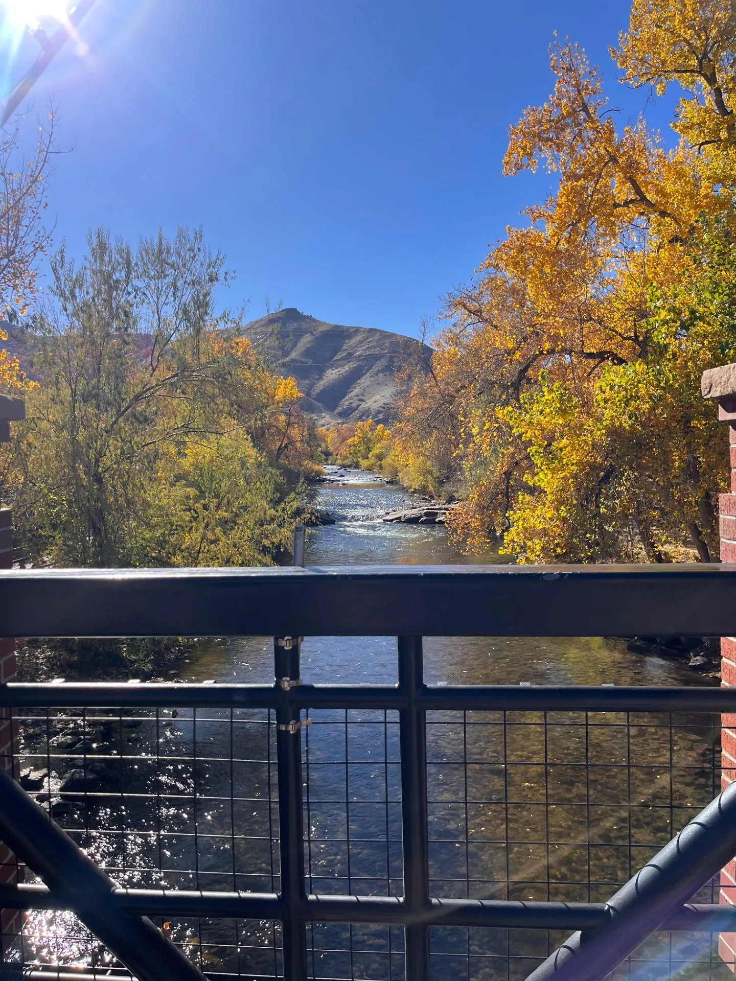 As Seen by a Newcomer