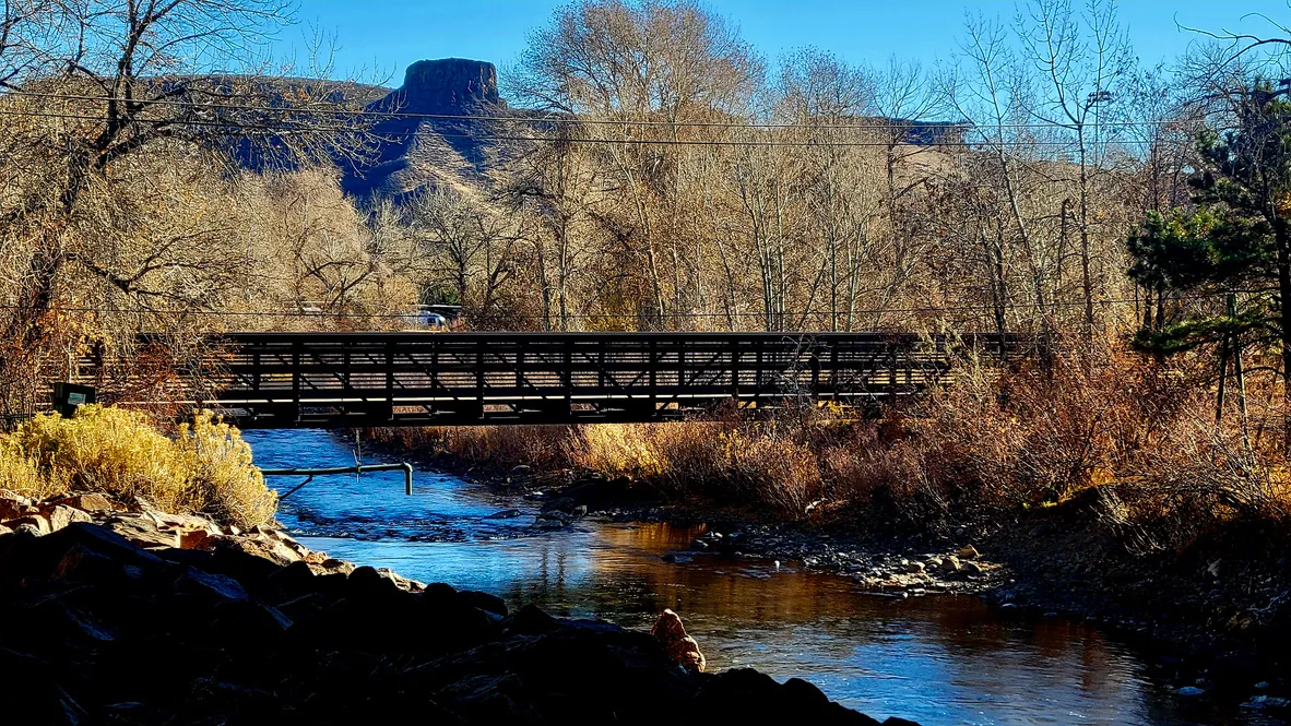 Much To Be Thankful For