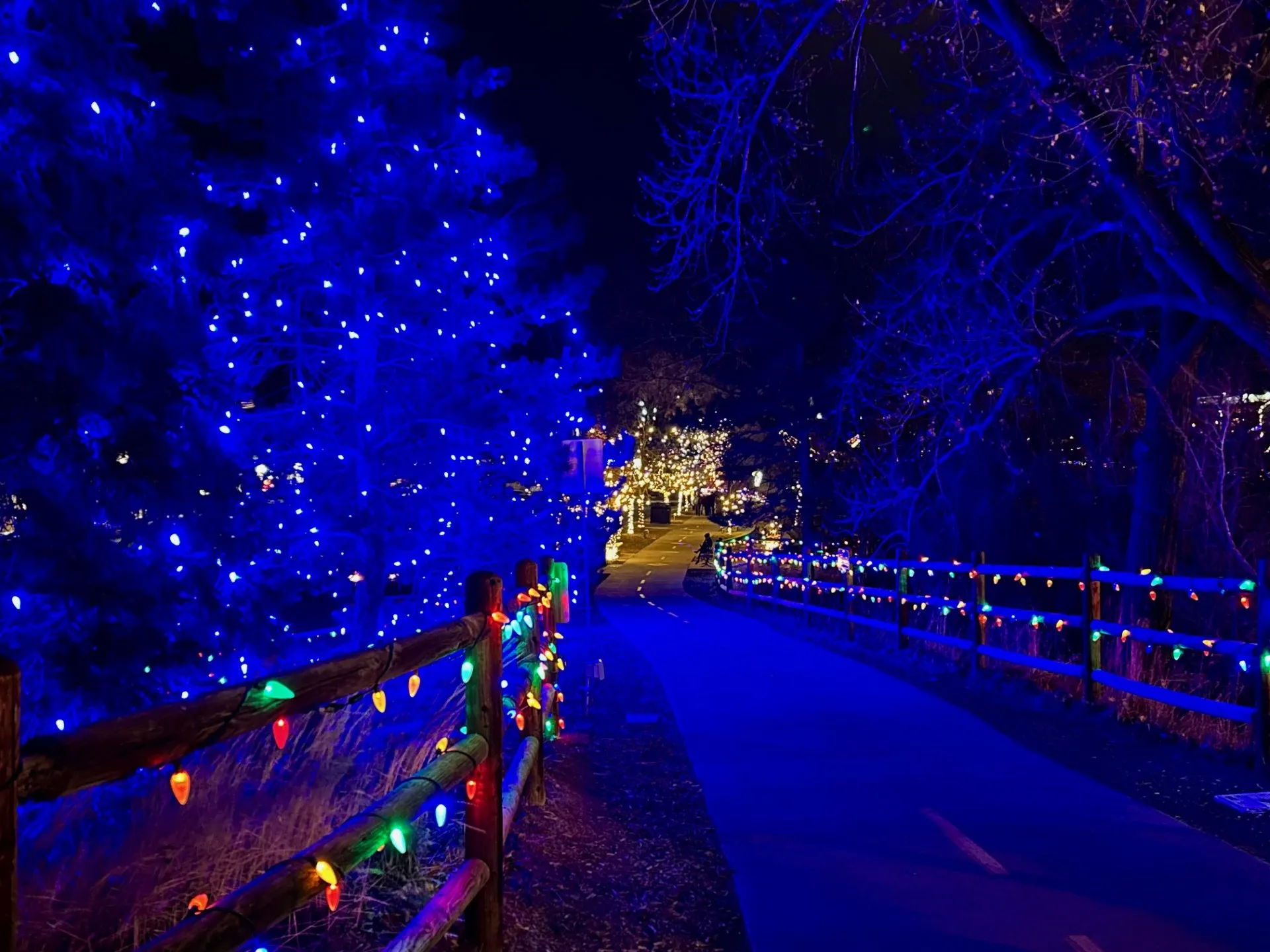 Another Enchanted Evening Along the Creek