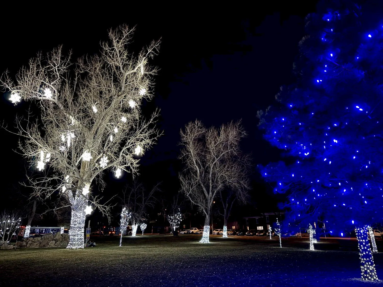 Lights in Parfet Park