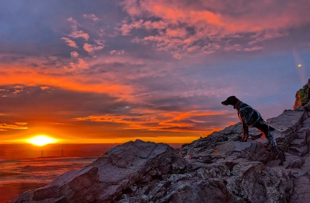 Ruby's Domain (North Table Mountain)