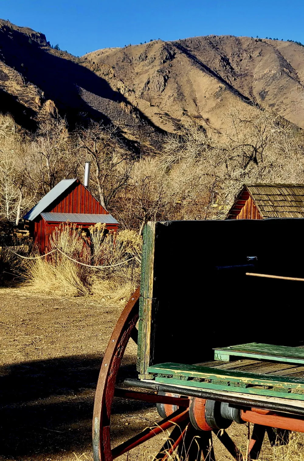 Our Agricultural Roots