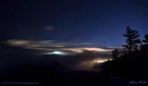 Food, What’s Online, and Better Life through Electricity