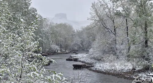 Even our cocktail parties are virtual