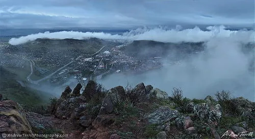 Recovering from Coronavirus and Prohibition