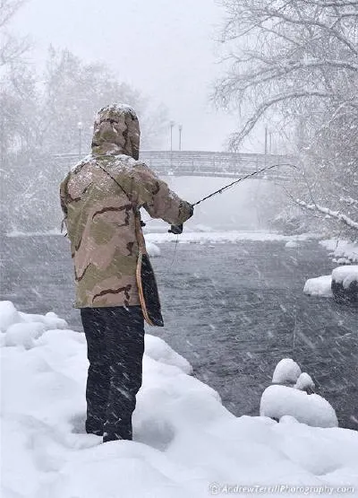 Solitude, Old Chemistry, and Nathaniel Hill