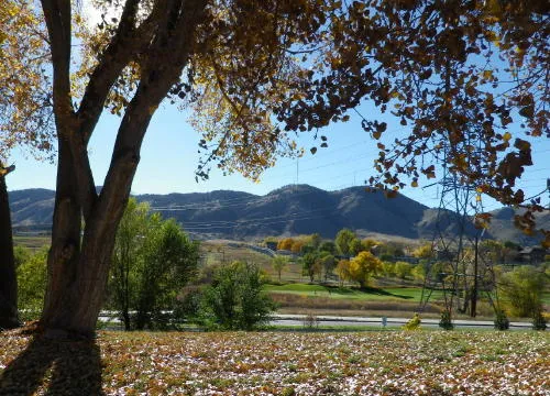 Stay-at-Home vs. Quarantine