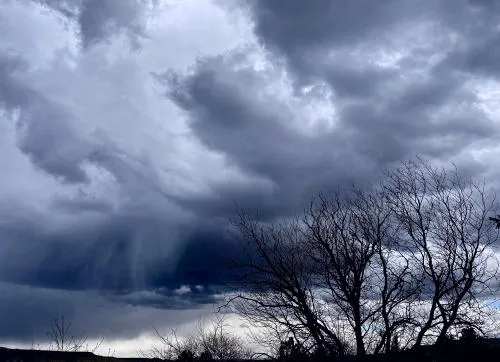 Yard Waste and Belching Smokestacks
