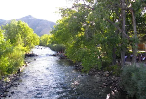 Curbside Pickup at the Library / Memorial Days of Old