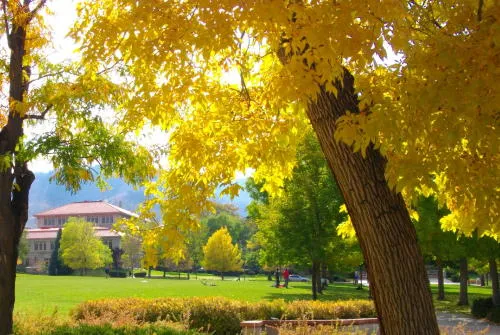 Final Bike Cruise, Weekly COVID Stats, and Cigarette Advertising