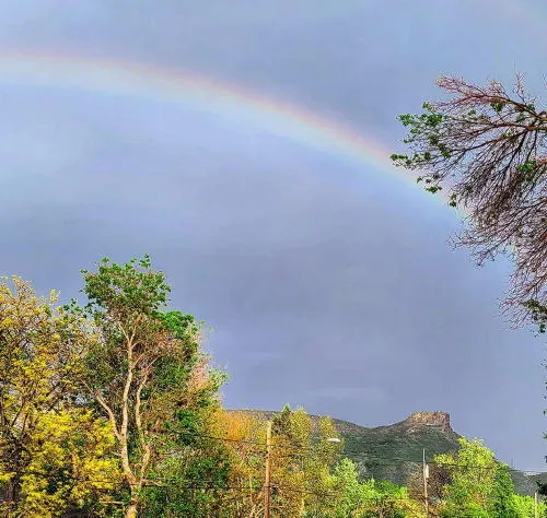 Art, History, and Society