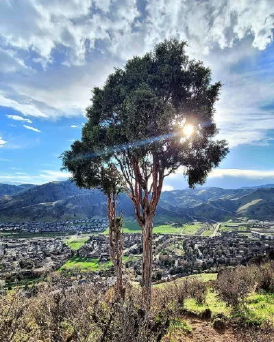 A Venerable Liquor Store, Plus a Few References to Ice Cream and Burgers
