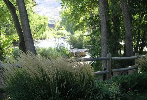 Farming as a Vocational Skill