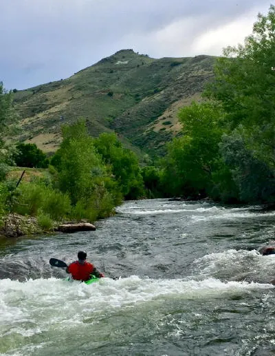 Sustainability, Sprawl, and More Mills