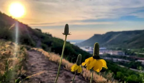 History Lectures and the Migratory Post Office