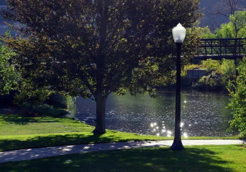 Double Eye Candy, Corona Update, French, Connects, and a Really Big Rock