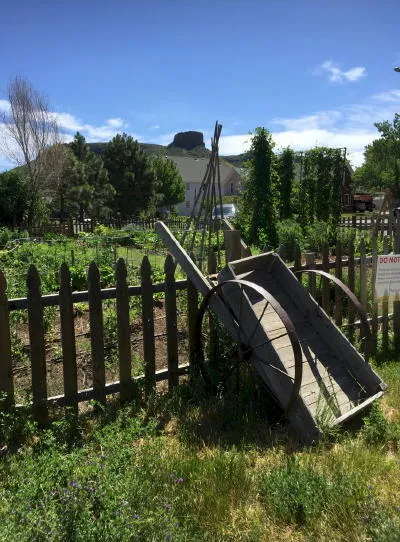 Father’s Day in Golden