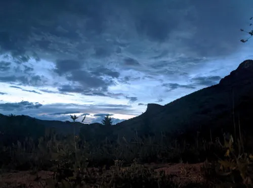 Century Old Advertising