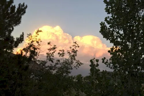 Astor House, Farmers Market, History Park, Coffee with Councilors, and Mines History