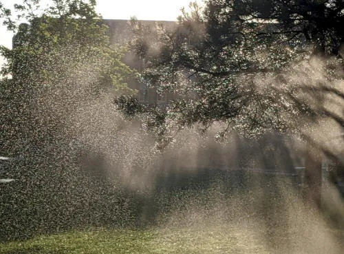 Droplets, Diamonds, and Citizen Initiatives