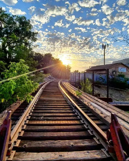 Last Call, Green Buildings, Yoga in Lions Park, Rose Bud & More