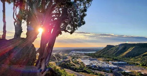 Stats, Unemployment Benefits, and Duvall-Davison Lumber