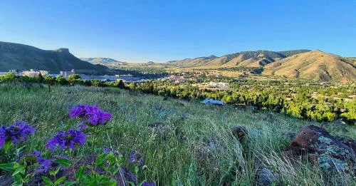 Summer Beauty, Bastille Day, EDComm, a Blacksmith Shop, and a Visitors Center
