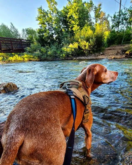 A Trail from the ’60s and a Photo from the ’90s